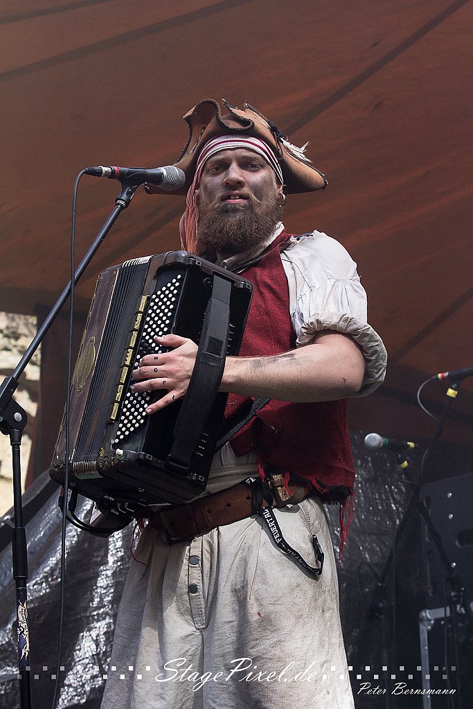 Mr. Hurley & Die Pulveraffen (Feuertal Festival 2015)