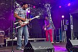 Homemade Jamz Blues Band (Grolsch Blues Festival)