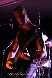 Saphenous (Witten Famous) 