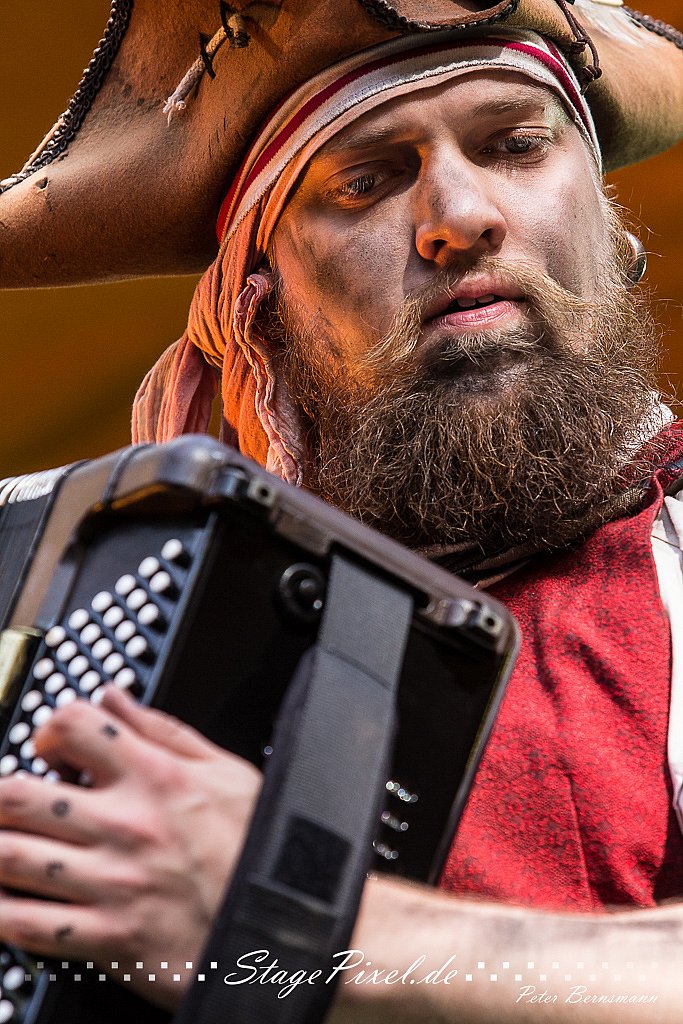 Mr. Hurley & Die Pulveraffen (Feuertal Festival 2015)