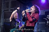 Fools Of Rock (Haltern Rock im Wendehammer)