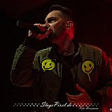 Versus Goliath (Rosenhof Osnabr&uuml;ck)