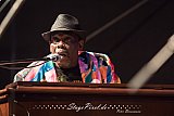 Lucky Peterson (Grolsch Blues Festival)