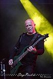 A Parrotdies (Stennert Open Air 2025, Herne)