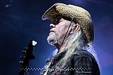 Wildheart (Haltern Rock im Wendehammer)