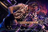 Wildheart (Trigon Haltern)