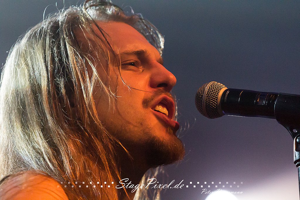 dArtagnan (Rosenhof Osnabrück)