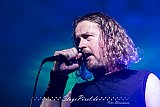 Greydon Fields (Essen)